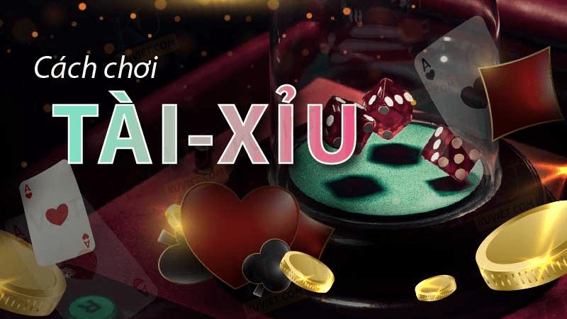 Kinh nghiệm chơi cá cược tài xỉu Ne88Bet